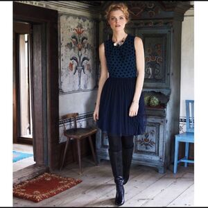 Anthropologie Sasonger Tulle Dress  